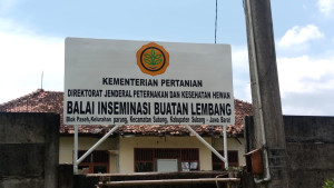 Kementan Kembangkan Lokasi Baru di Subang untuk Tingkatkan Produksi Bibit Ternak Unggul